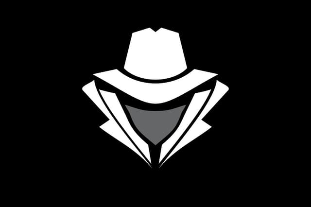 Sanchit Kaushik cyber avatar